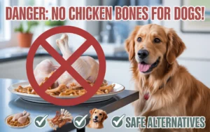 Can Dogs Eat Chicken Bones