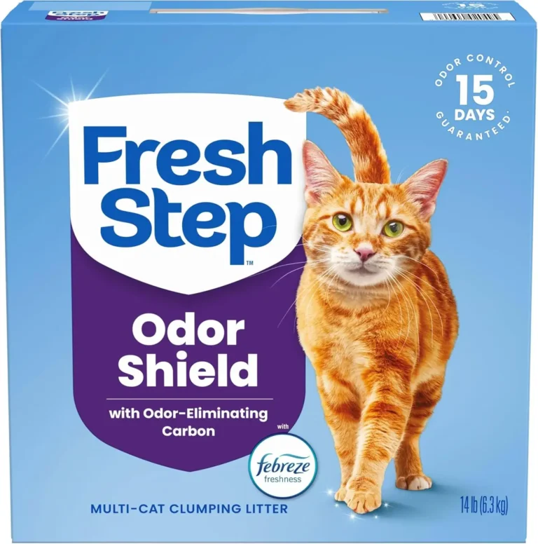 Best Cat litter For Odor Control