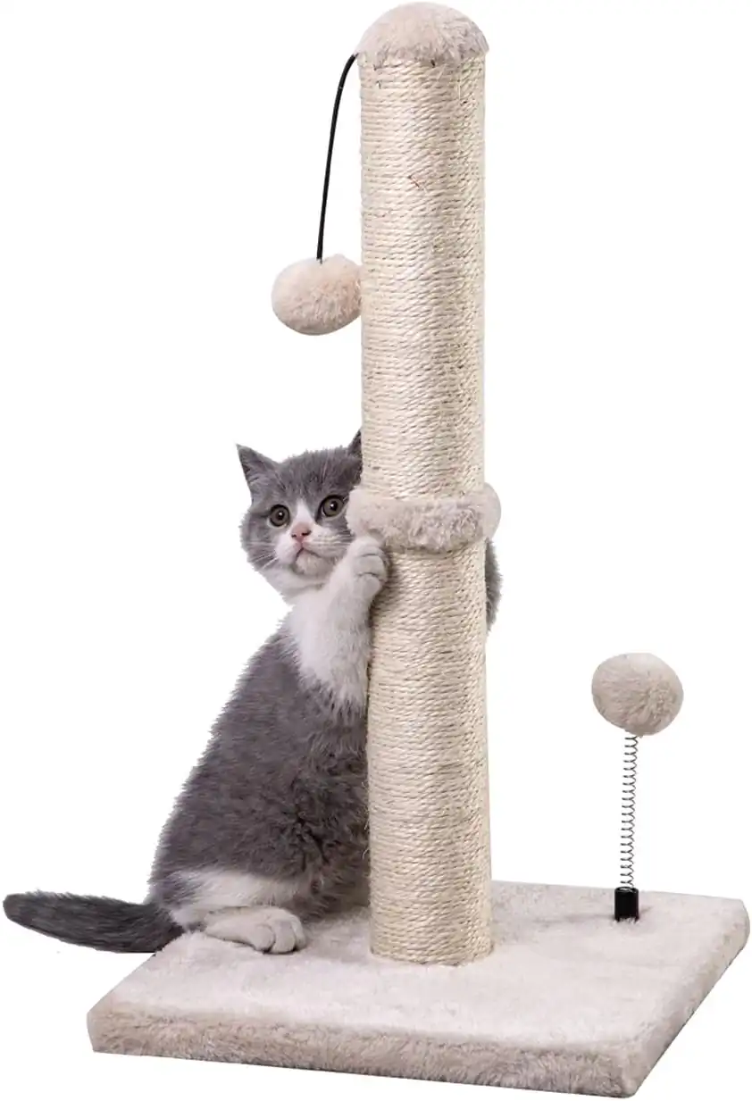 Buy Cat Scratching Post Online