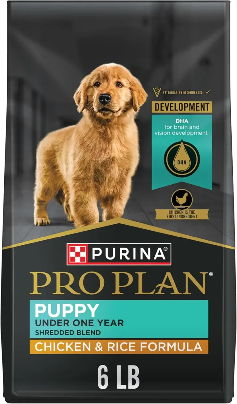 Best Dog Food For Puppies