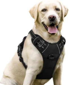 Buy Dog Harness Online
