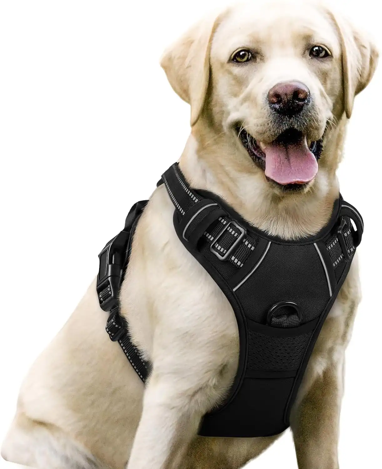 Buy Dog Harness Online