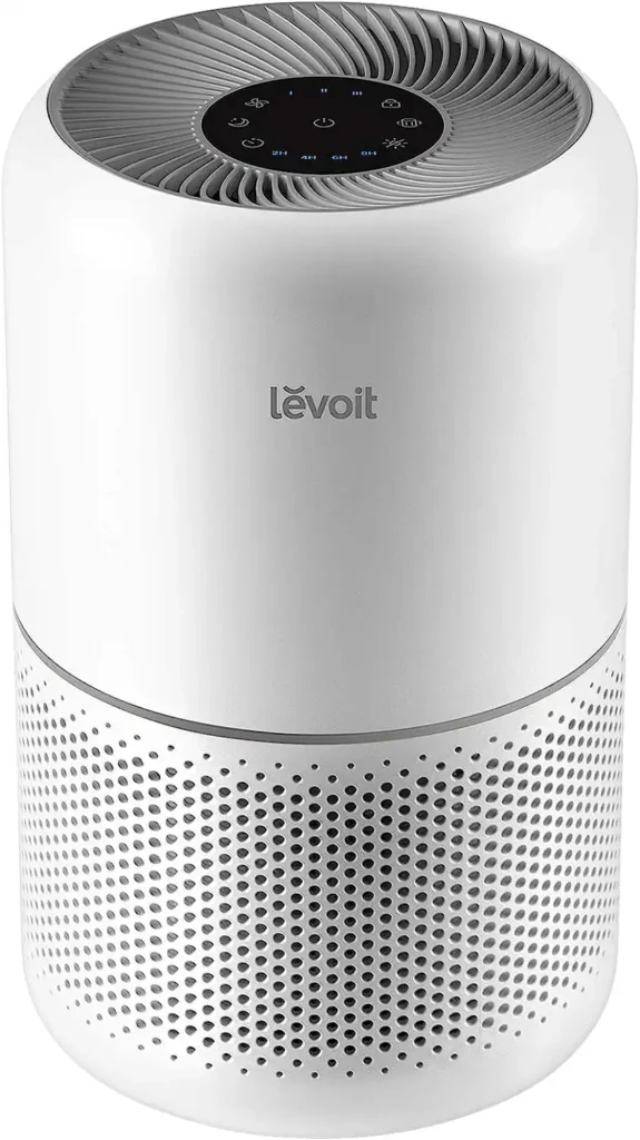 Best Air Purifier For Home