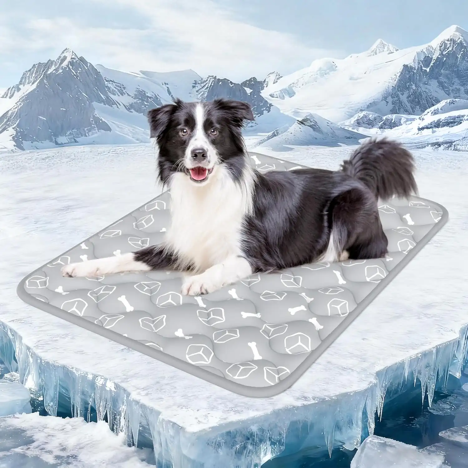 Best Dog Cooling Mat For Summer