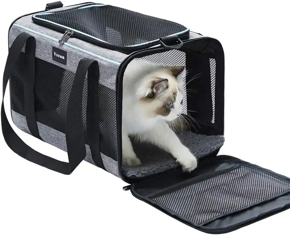 Best Dog Carrier For Travel
