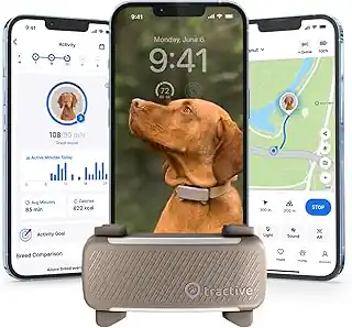 Best Dog GPS Tracker: Finding the Right Fit for Your Pet