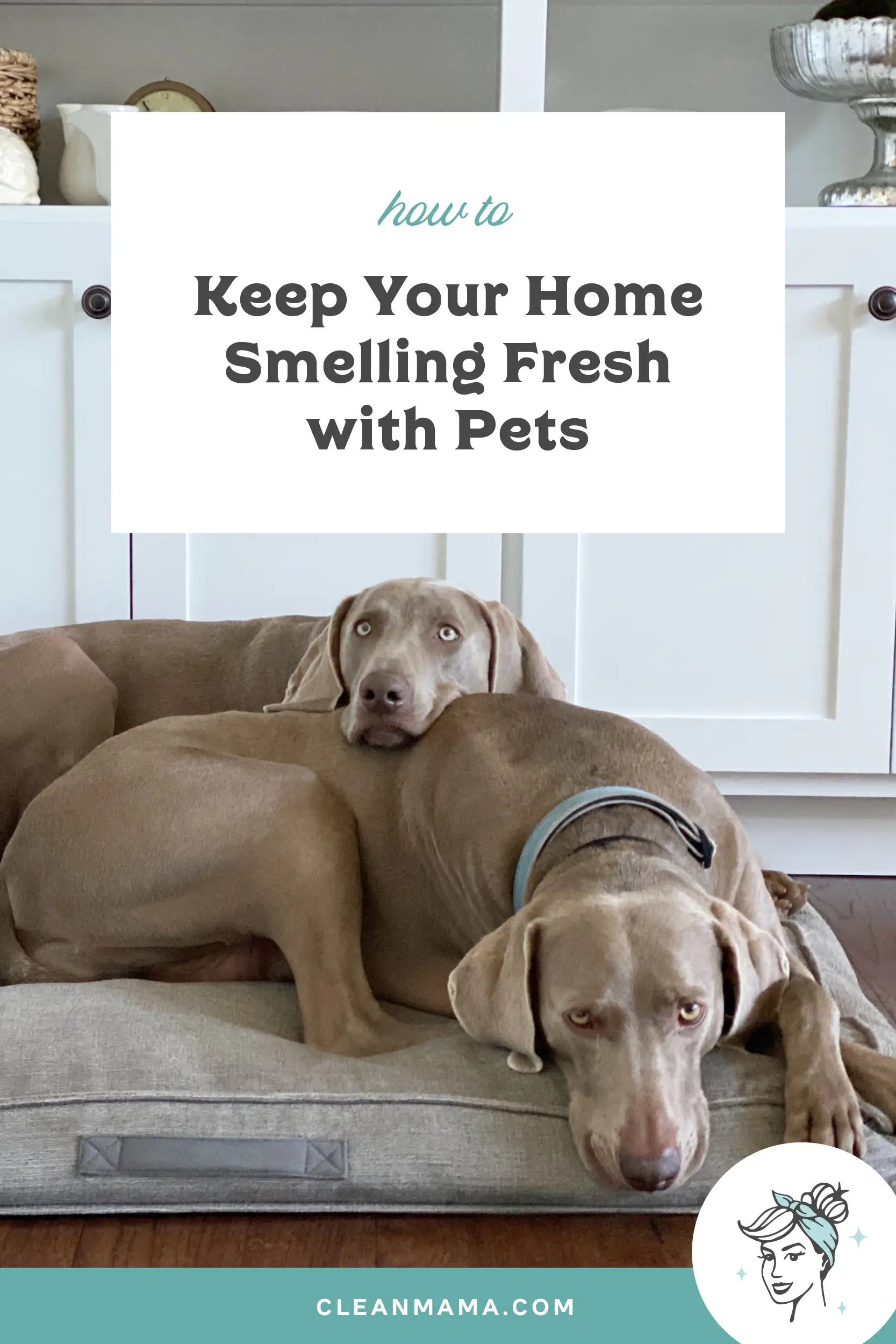 How To Keep Home Fresh And Clean: Easy Tips 2026