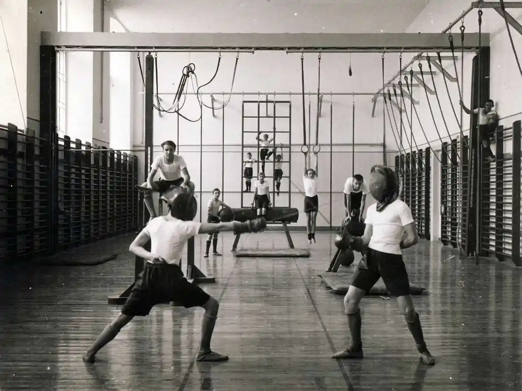 Buy Fitness Wall Bars: Your Guide to Home Workout Equipment