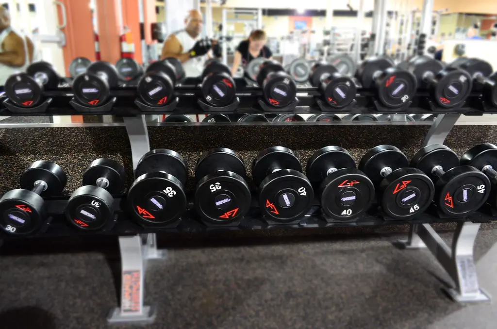 Choosing the Right Home Gym Rack: Dumbbell, Power, and Storage Solutions