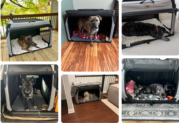 The Best Pet Travel Accessories for Safe and Happy Journeys
