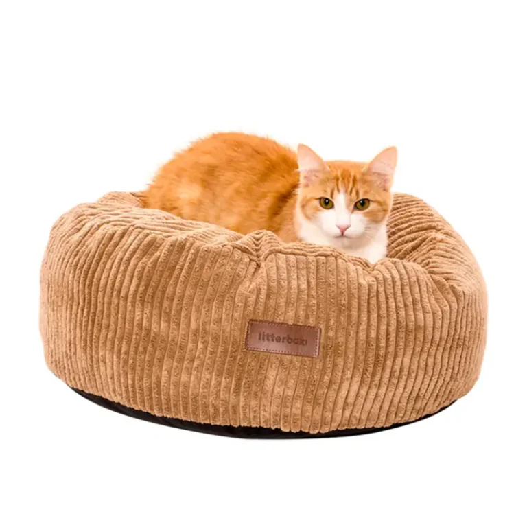 Best Cat Bed for Comfort: Top Picks for a Cozy Nap Spot
