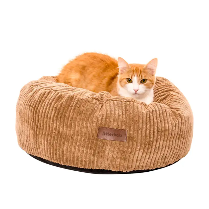 Best Cat Bed for Comfort: Top Picks for a Cozy Nap Spot