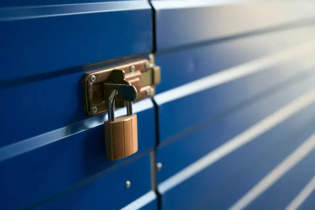 Why Proper Storage is Important at Home